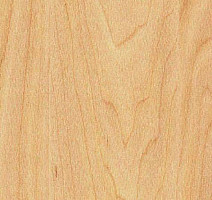 Линолеум Taraflex evolution Wood 6381_Maple_design фото 1 | FLOORDEALER