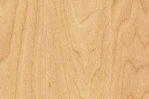 Линолеум Taraflex evolution Wood 6381_Maple_design фото  | FLOORDEALER