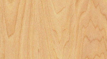 Линолеум Taraflex evolution Wood 6381_Maple_design фото 1 | FLOORDEALER