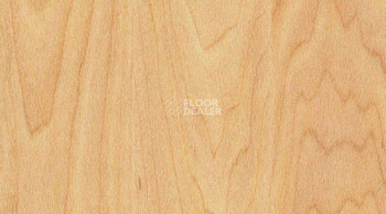 Линолеум Taraflex evolution Wood 6381_Maple_design фото 1 | FLOORDEALER