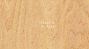 Линолеум Gerflor Taraflex evolution Wood 6381_Maple_design фото 1 | FLOORDEALER