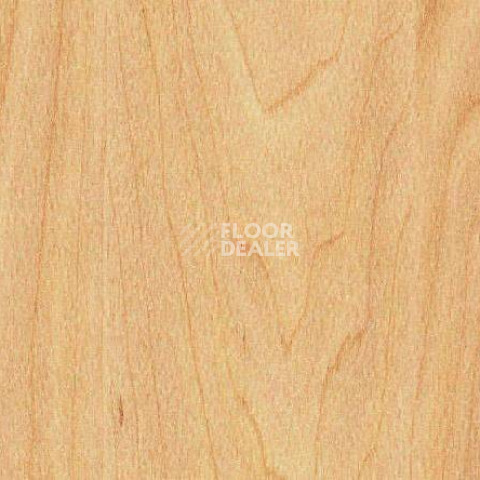 Линолеум Gerflor Taraflex evolution Wood 6381_Maple_design фото 1 | FLOORDEALER