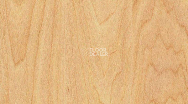 Линолеум Taraflex evolution Wood 6381_Maple_design фото 1 | FLOORDEALER