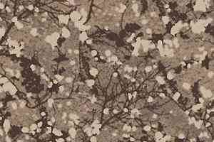 Ковролин Ege Highline Nature rf 52755465 фото  | FLOORDEALER