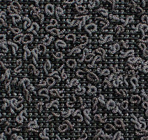 Ковролин Carpet Concept Eco Iqu S 54538 фото 1 | FLOORDEALER