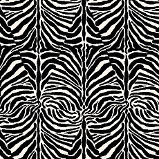 Agnella Impulse Talus Black фото 1 | FLOORDEALER