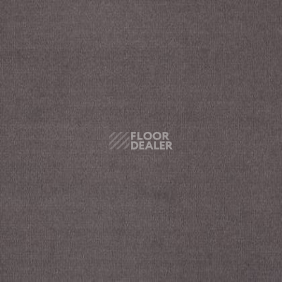 Ковролин Tapibel Casa 24845 фото 1 | FLOORDEALER