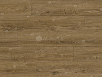 Classen Arteo 8 M 62755 Дуб Котор фото 4 | FLOORDEALER