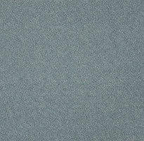 Ковролин Big Royale 167 фото 1 | FLOORDEALER