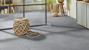 Vorwerk Superior 1065/Viola Vorwerk 5x91 фото 2 | FLOORDEALER