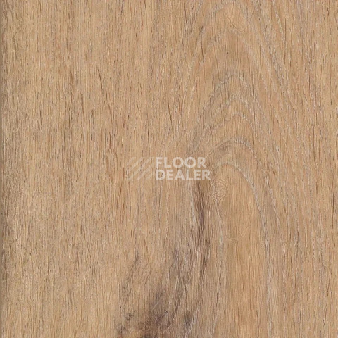 Кварцвиниловые полы AW Invictus Maximus Plank Silk Oak Oat фото 1 | FLOORDEALER