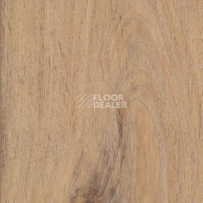 Кварцвиниловые полы AW Invictus Maximus Plank Silk Oak Oat фото 1 | FLOORDEALER