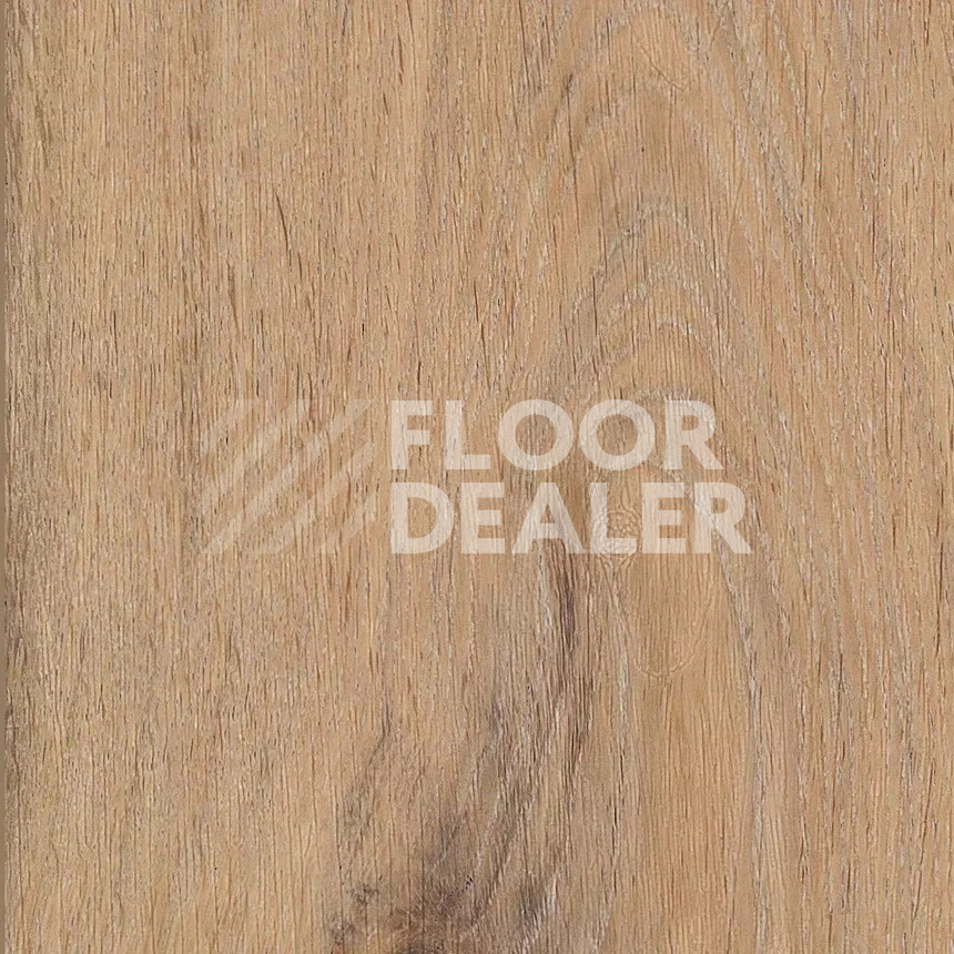 Кварцвиниловые полы Maximus Plank Silk Oak Oat фото 1 | FLOORDEALER