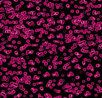 Ковролин Flotex Sottsass Bacteria 990101 фото 1 | FLOORDEALER