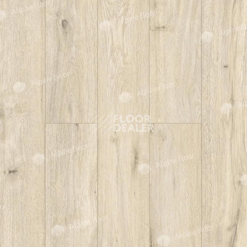 Ламинат Alpine Floor Intensity 12мм LF101-02 Дуб Салерно фото 1 | FLOORDEALER
