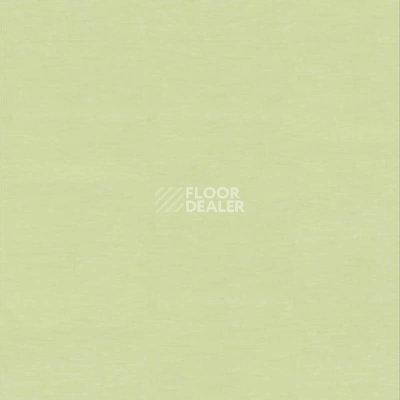 Линолеум Настенное покрытие Tarkett Wallgard Rolls Green фото 1 | FLOORDEALER