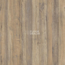 Линолеум Tarkett Grand Togo 2 фото 1 | FLOORDEALER