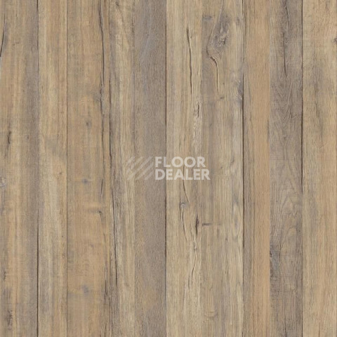 Линолеум Tarkett Grand Togo 2 фото 1 | FLOORDEALER