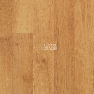Линолеум Juteks Strong MARRON 3040 фото 1 | FLOORDEALER