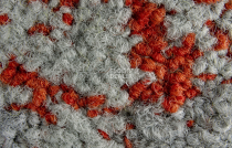 ColorKey ColorKey b 04 фото 2 | FLOORDEALER