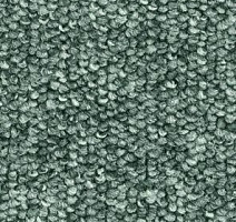 Ковролин Balsan Centaure 2000 Centaure 250 фото 1 | FLOORDEALER