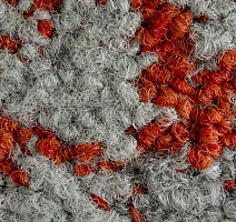 ColorKey ColorKey b 04 фото 2 | FLOORDEALER