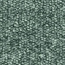 Ковролин Balsan Centaure 2000 Centaure 250 фото 1 | FLOORDEALER