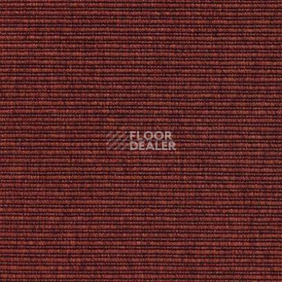 Ковролин Carpet Concept Eco 2 6724 фото 1 | FLOORDEALER