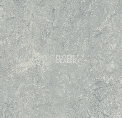 Линолеум Forbo Marmoleum Marbled Real 2621/262135 Dove Grey фото 1 | FLOORDEALER