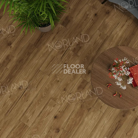 Norland Elegant 8мм Дуб Корсика LF301-18 фото 2 | FLOORDEALER