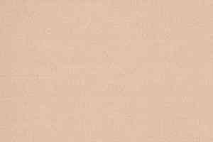 Ковролин Tapibel Casa 24813 фото  | FLOORDEALER