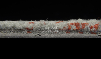 ColorKey ColorKey c 04 фото 3 | FLOORDEALER