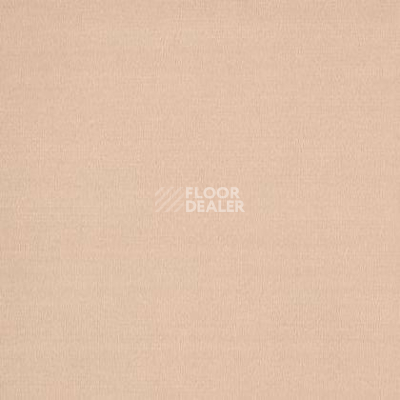 Ковролин Tapibel Casa 24813 фото 1 | FLOORDEALER