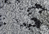 Ковровая плитка ColorKey ColorKey c 01 фото 1 | FLOORDEALER