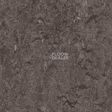 Линолеум Forbo Marmoleum Acoustic 33048 graphite фото 1 | FLOORDEALER