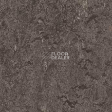 Линолеум Forbo Marmoleum Acoustic 33048 graphite фото 1 | FLOORDEALER