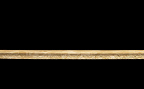 Tarkett Primo Plus 304 фото 3 | FLOORDEALER