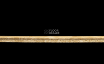 Tarkett Primo Plus 304 фото 3 | FLOORDEALER