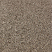 Ковролин Jacaranda Carpets Bilpar Oatmeal фото 1 | FLOORDEALER