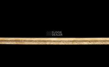 Tarkett Primo Plus 304 фото 3 | FLOORDEALER