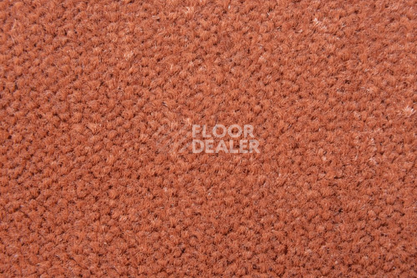Ковролин AW Prima AW Prima 84 фото 1 | FLOORDEALER
