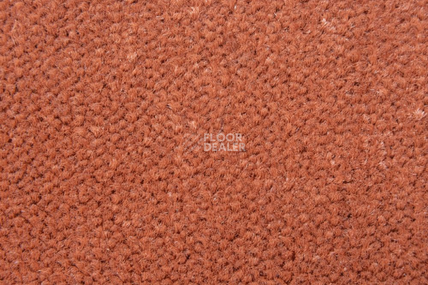 Ковролин AW Prima 84 фото 1 | FLOORDEALER