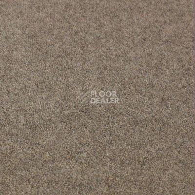 Ковролин Jacaranda Carpets Bilpar Oatmeal фото 1 | FLOORDEALER