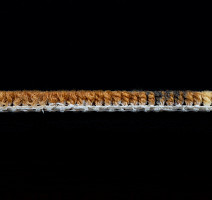 Haima Lily Beige фото 4 | FLOORDEALER