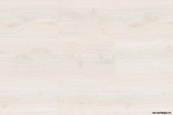 Corkstyle Wood OAK POLAR WHITE фото 4 | FLOORDEALER
