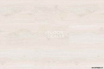 Wood OAK POLAR WHITE фото 4 | FLOORDEALER