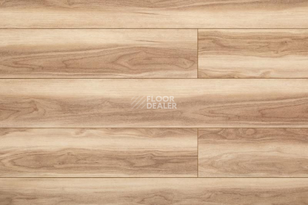 Кварцвиниловые полы Aquafloor Space Nuts XL AF4071NXL фото 1 | FLOORDEALER