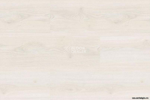 Corkstyle Wood OAK POLAR WHITE фото 4 | FLOORDEALER