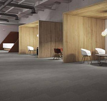 interface Northern Light