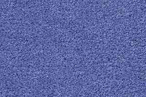 Ковролин Radici Montecarlo 30 фото  | FLOORDEALER